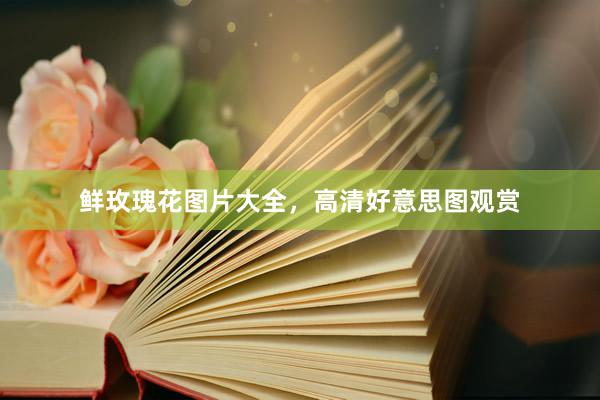 鲜玫瑰花图片大全,高清好意思图观赏