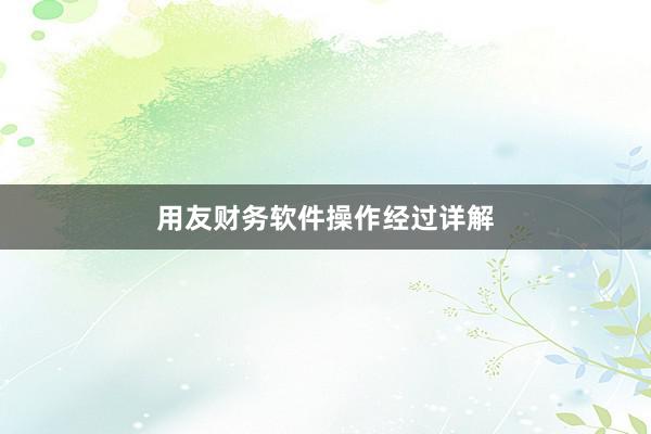 用友财务软件操作经过详解